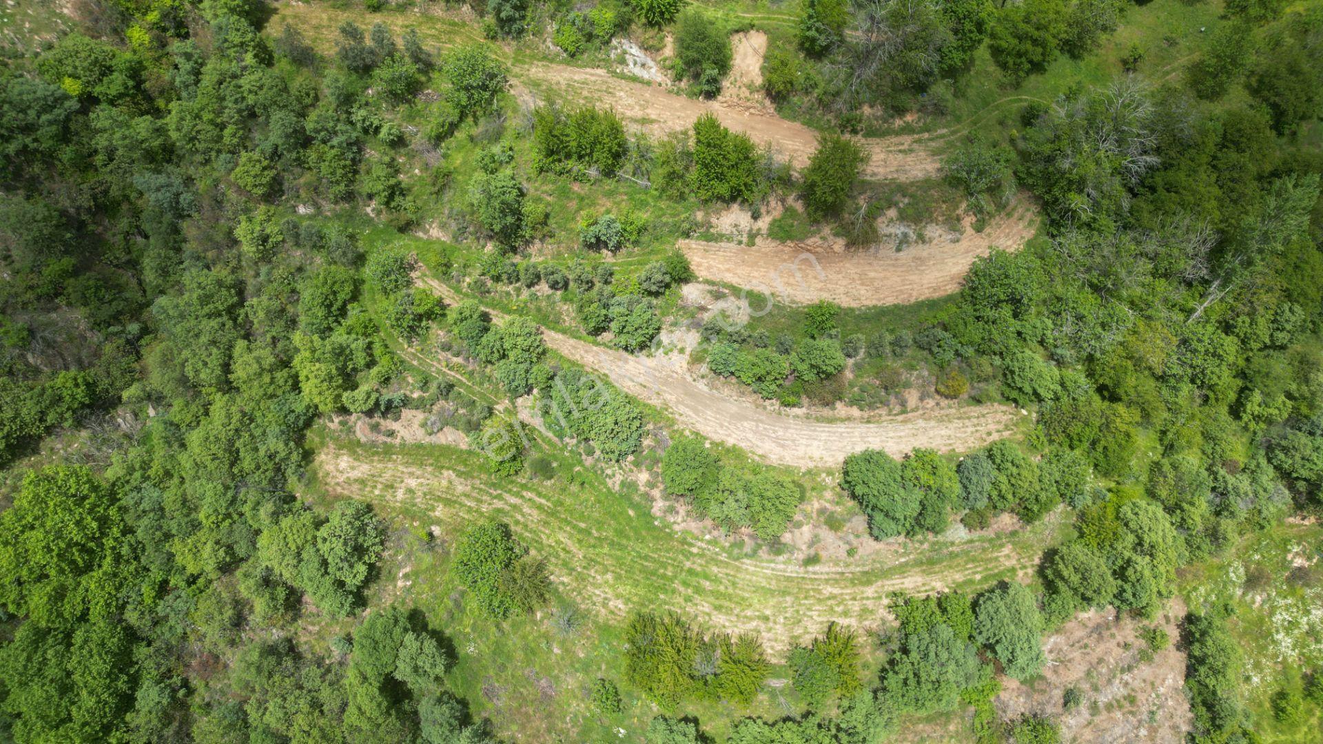 Antika'dan Dokuzlar Köyünde İçinde Evi-damı Olan Satılık Bahçe - Görsel 2