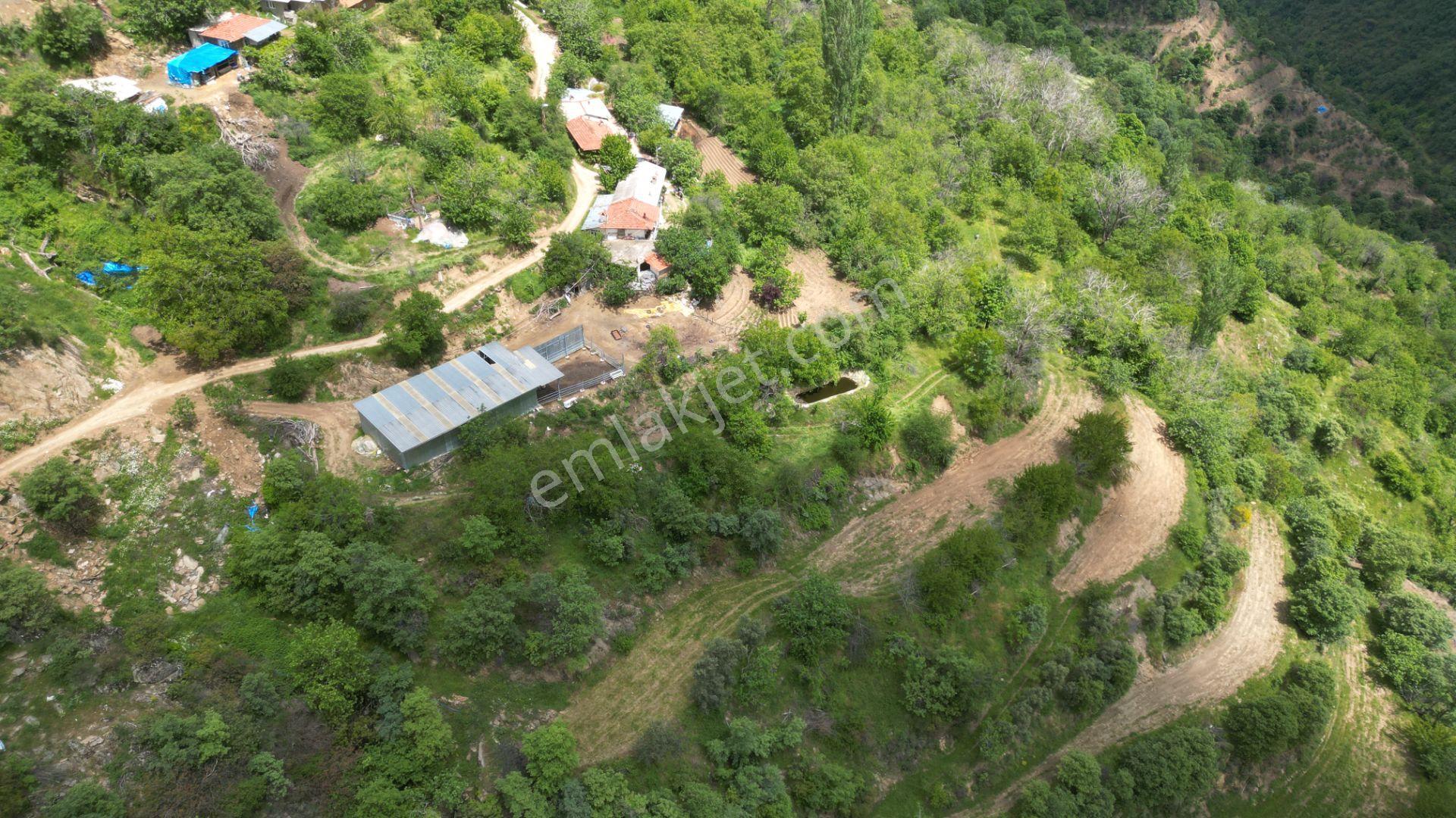 Antika'dan Dokuzlar Köyünde İçinde Evi-damı Olan Satılık Bahçe - Görsel 4