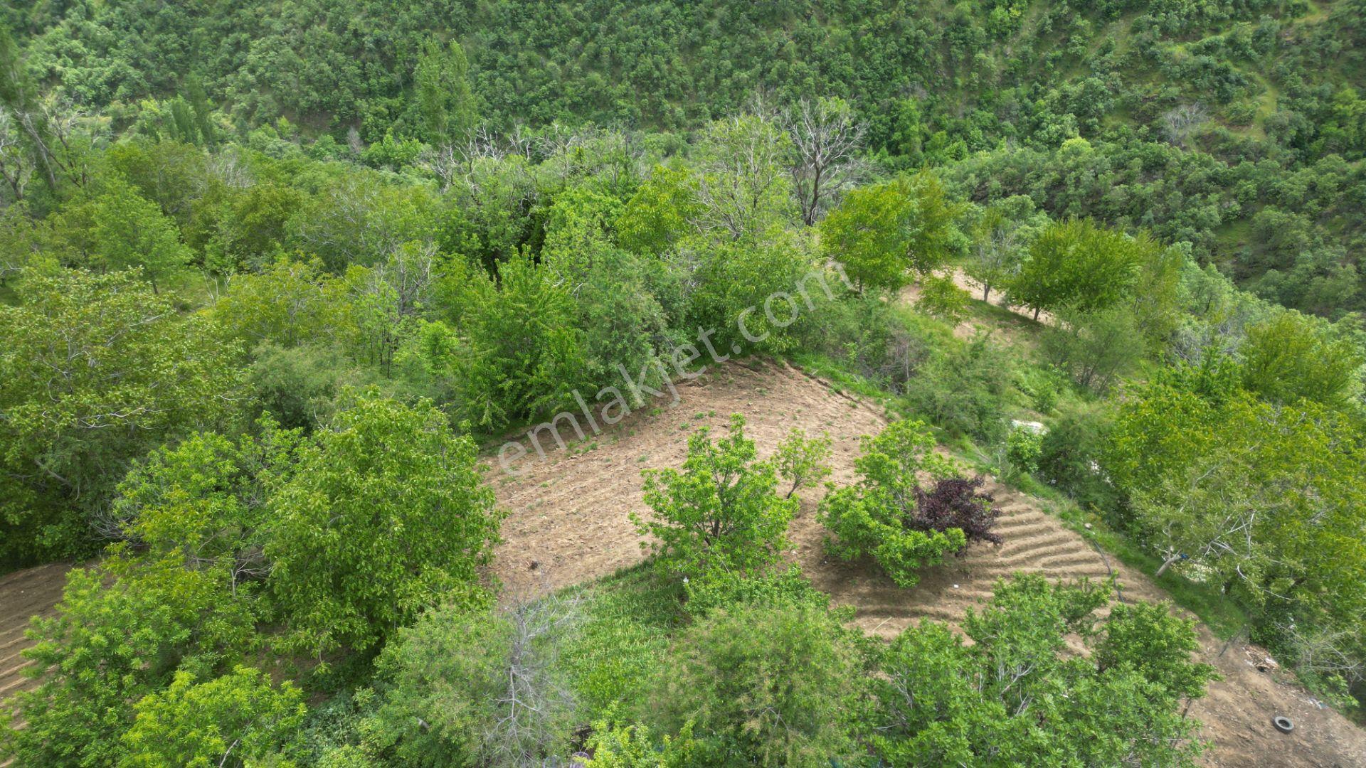 Antika'dan Dokuzlar Köyünde İçinde Evi-damı Olan Satılık Bahçe - Görsel 12