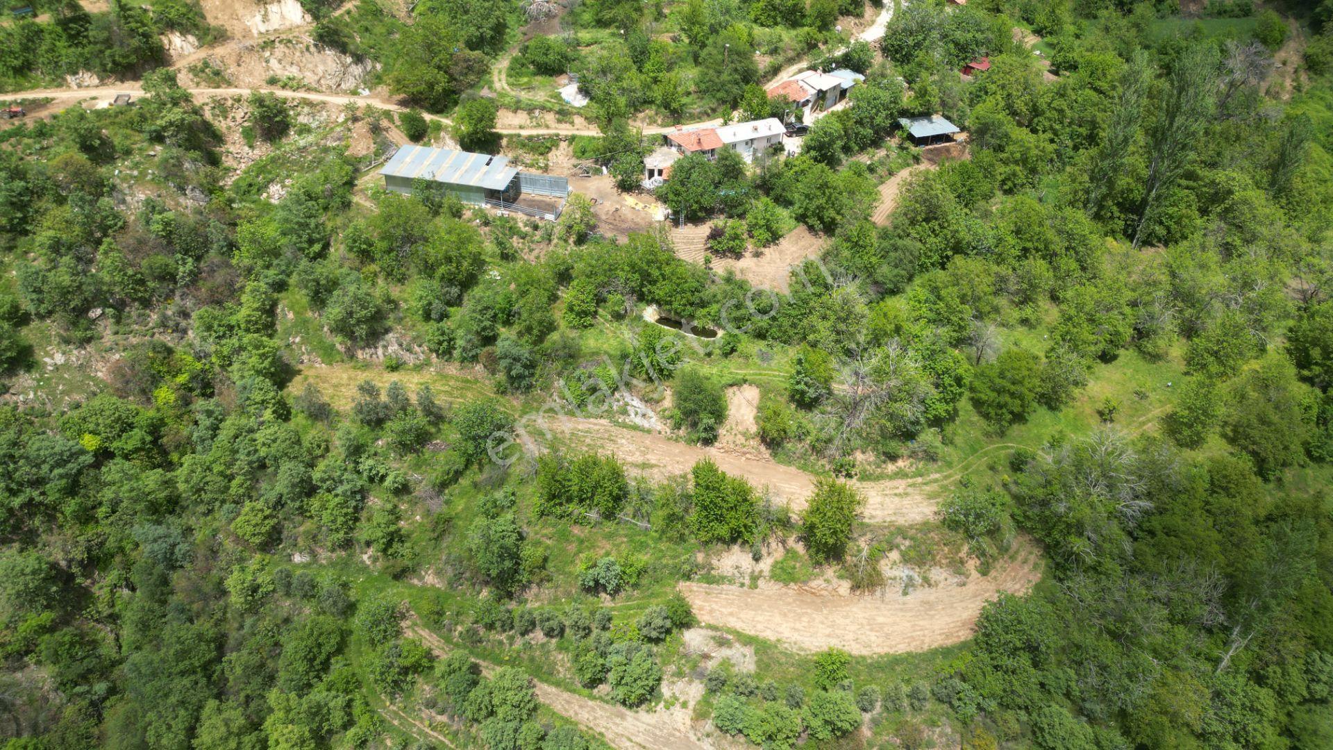 Antika'dan Dokuzlar Köyünde İçinde Evi-damı Olan Satılık Bahçe - Görsel 3