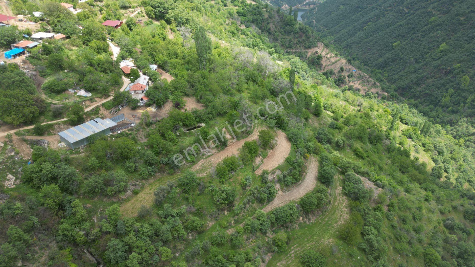 Antika'dan Dokuzlar Köyünde İçinde Evi-damı Olan Satılık Bahçe - Görsel 11