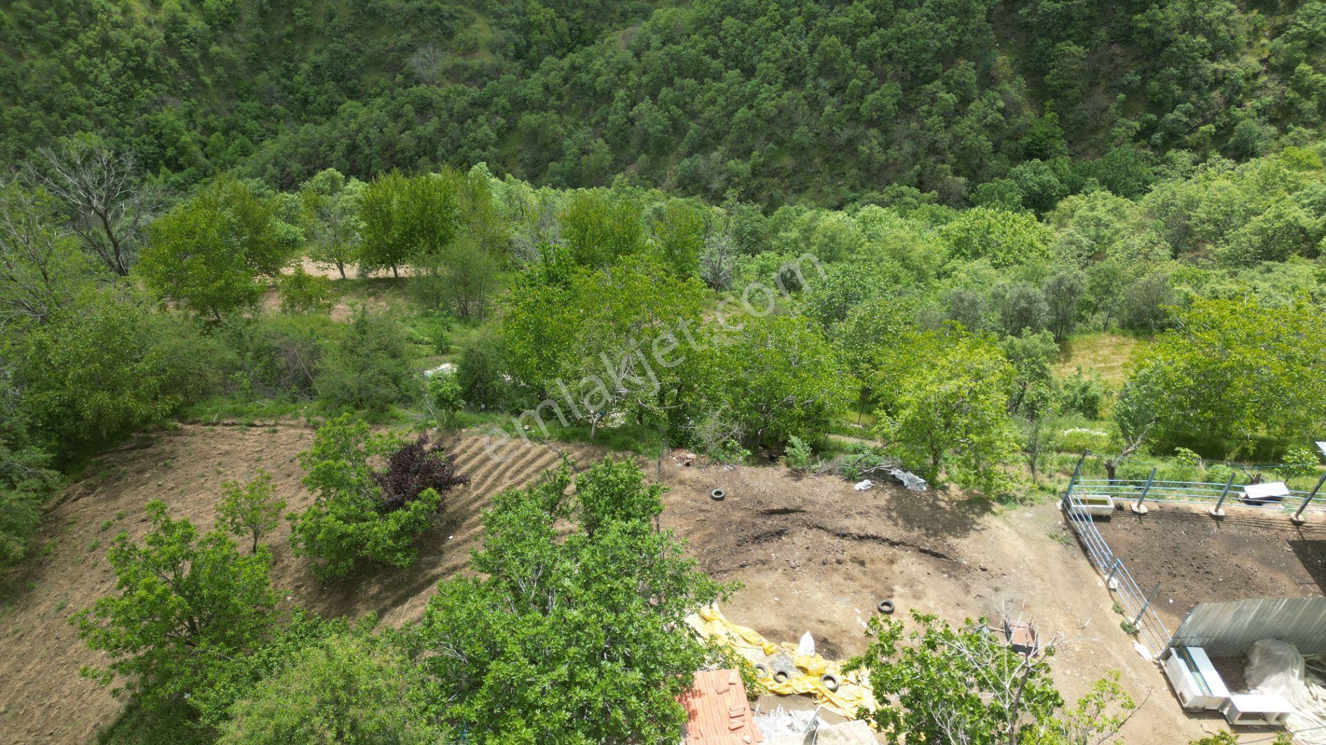 Antika'dan Dokuzlar Köyünde İçinde Evi-damı Olan Satılık Bahçe - Görsel 13