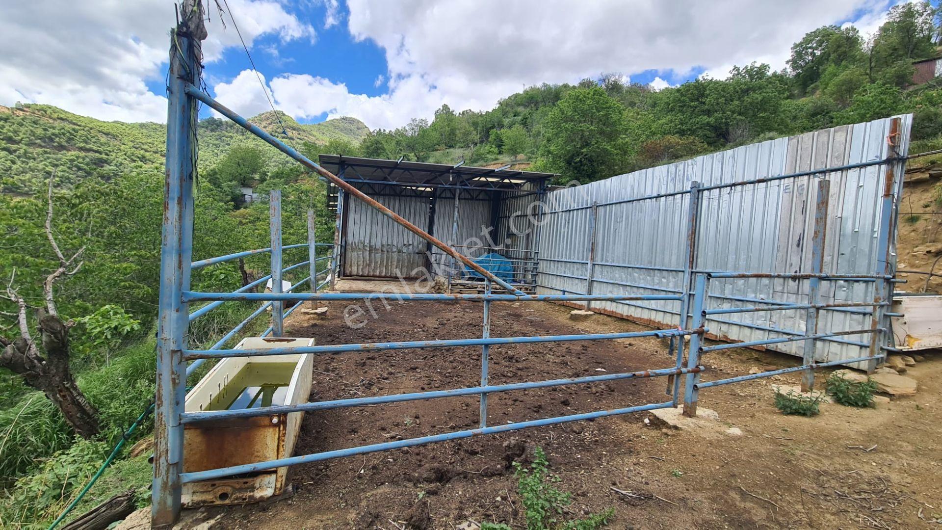 Antika'dan Dokuzlar Köyünde İçinde Evi-damı Olan Satılık Bahçe - Görsel 28