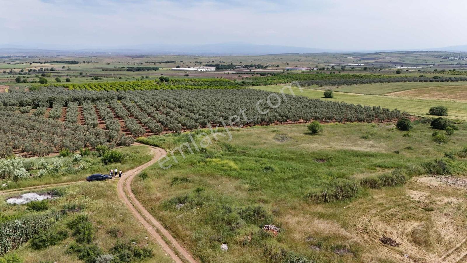 Alven Real Estate Karacabey Danişment 7700m² Tarla - Görsel 11