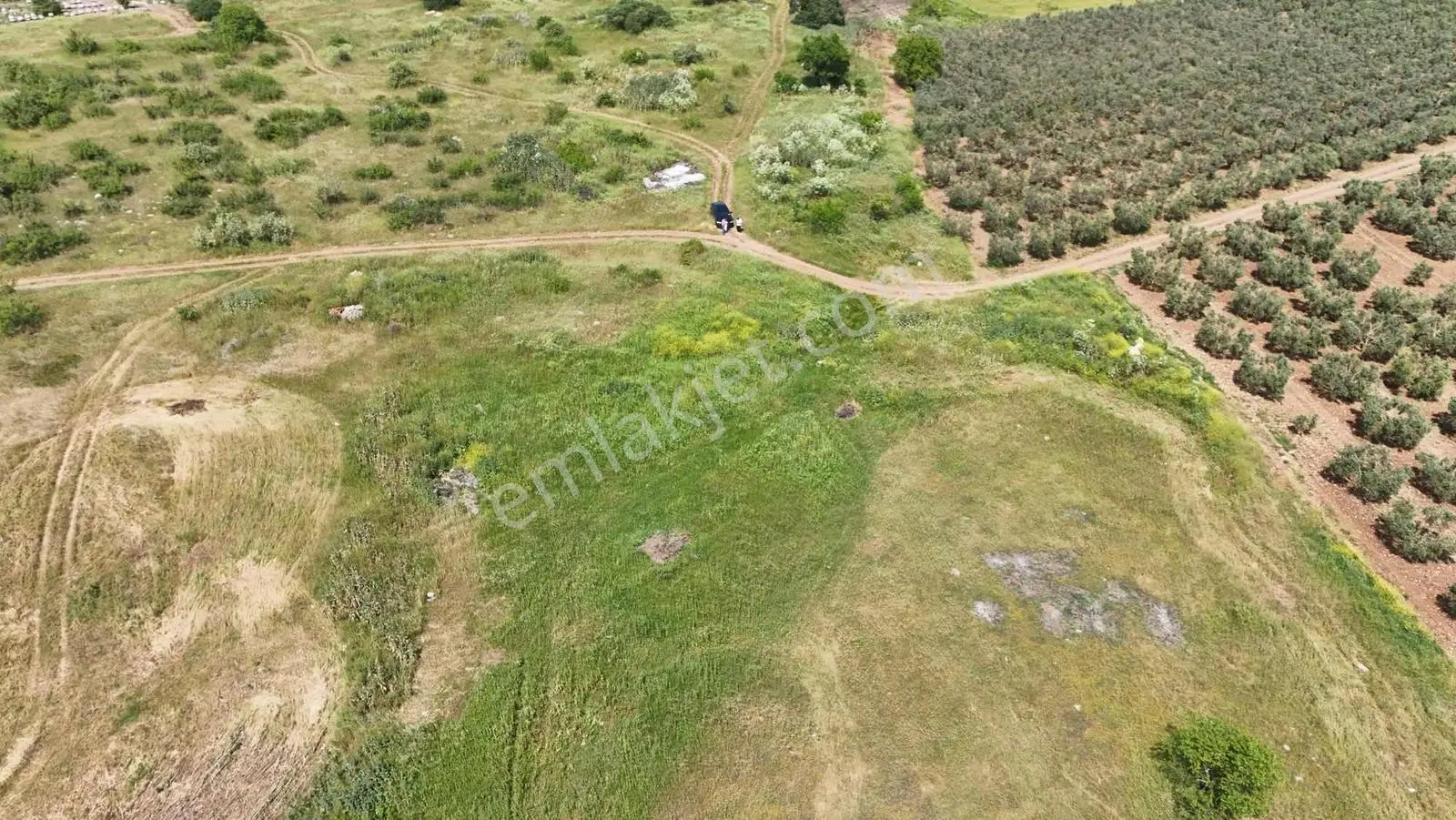 Alven Real Estate Karacabey Danişment 7700m² Tarla - Görsel 5