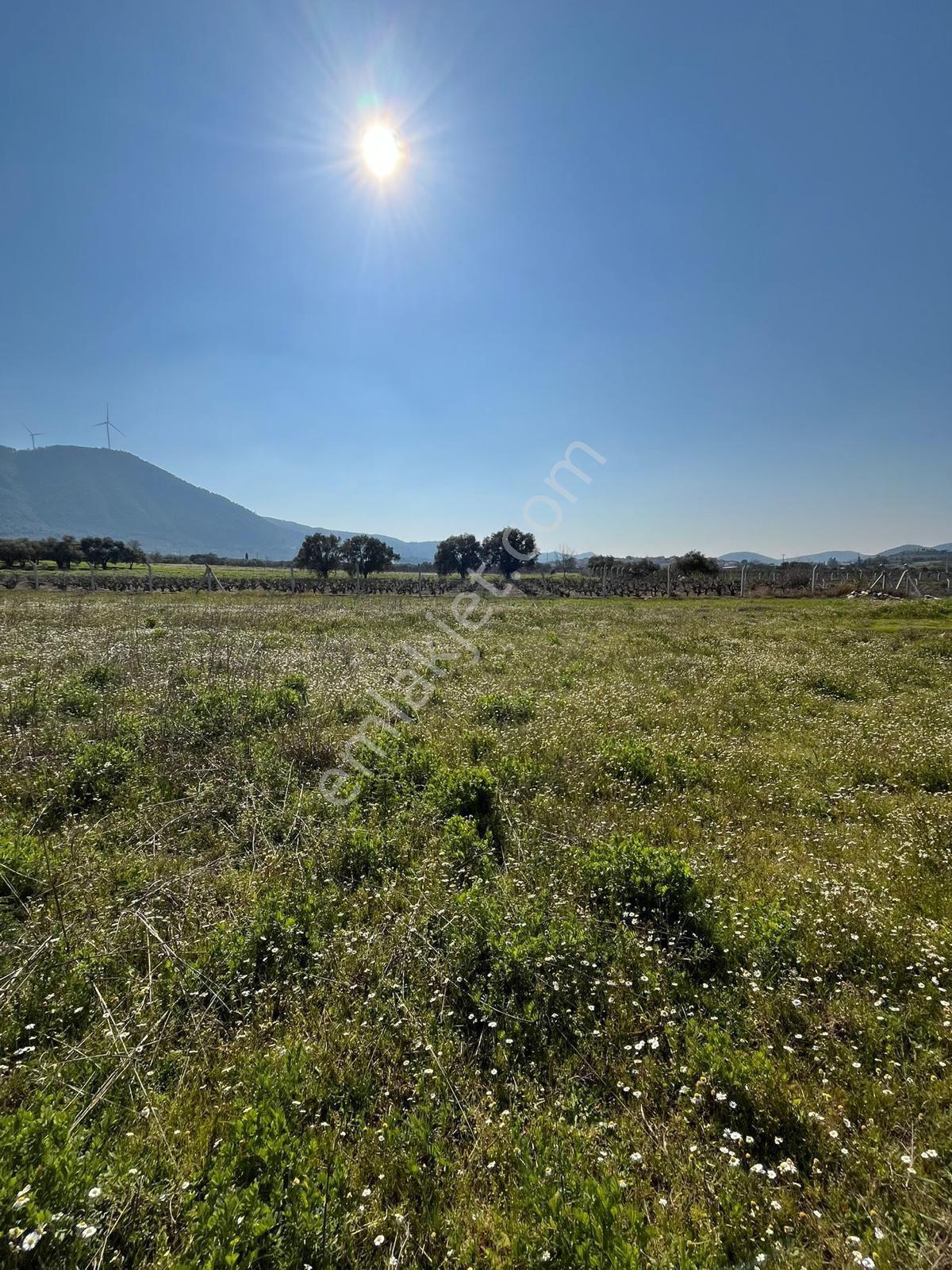 5200 M2 İçinde - Görsel 22