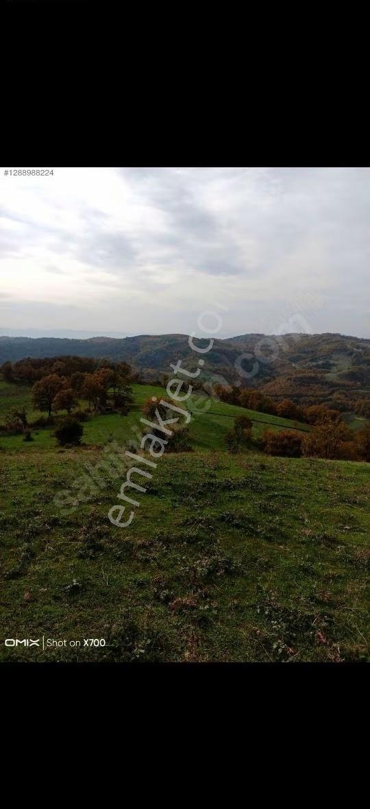 Bursa,iznik, Mecidiye Mah Satılık Tarla - Görsel 3