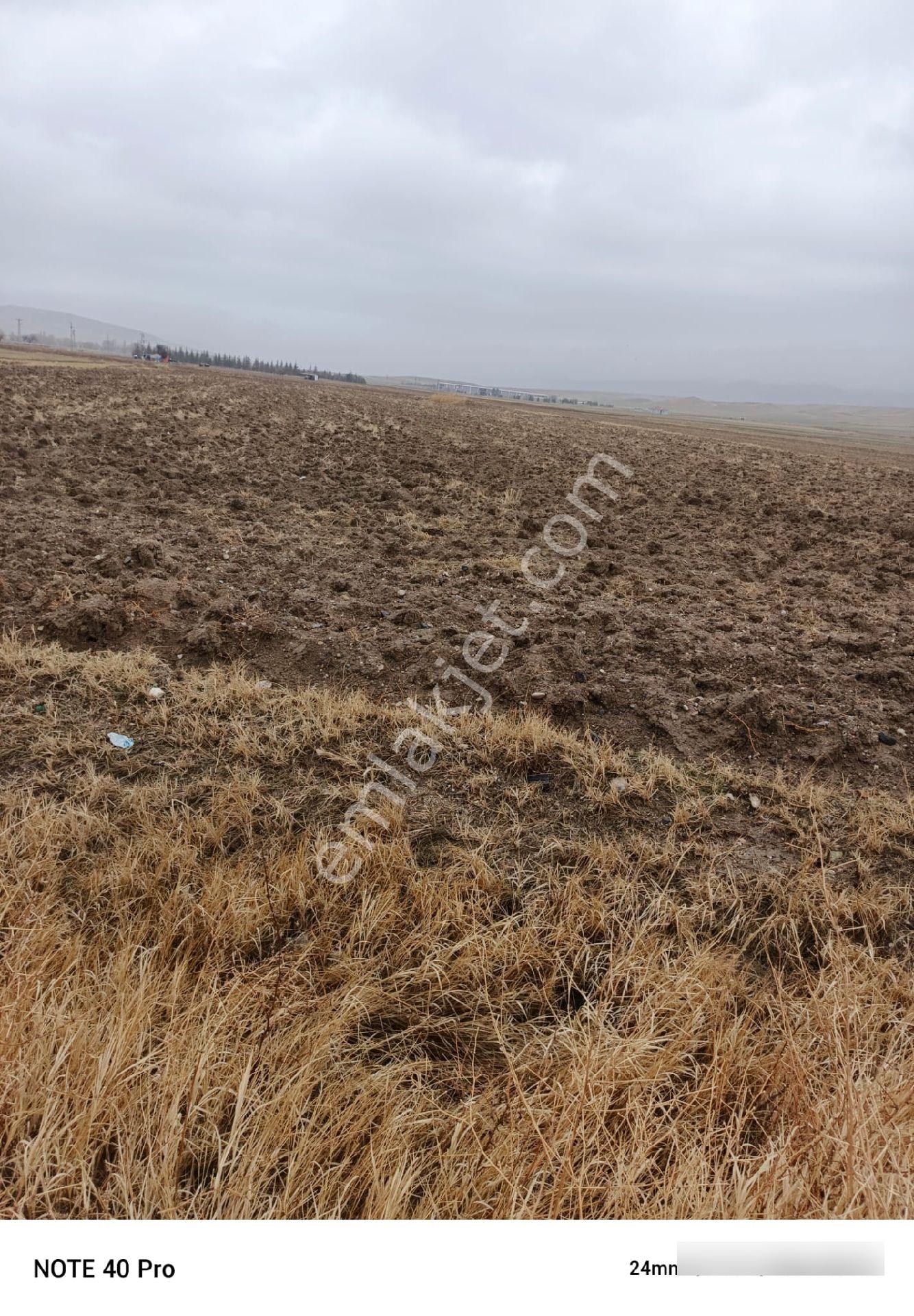 İlyap'tan Polatlı Şabanözünde Tektapulu 9300m2 Takas Olur - Görsel 12