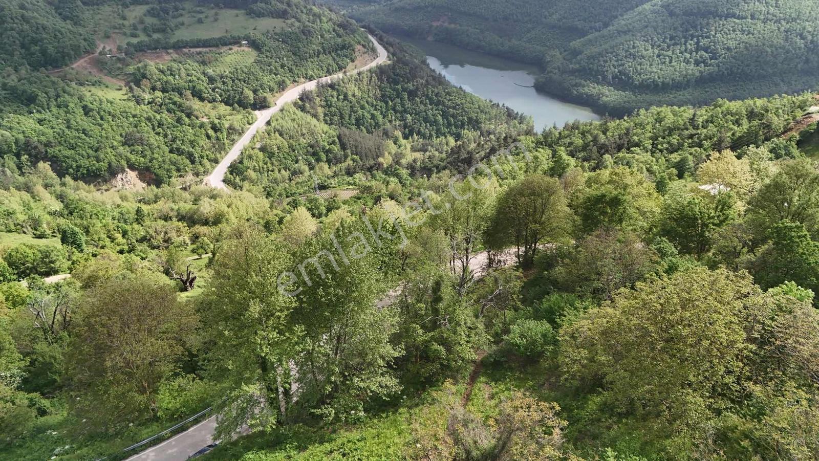Alven Real Estate Tuzaklı Asfalt Yola Cephe 520m² Tarla - Görsel 25