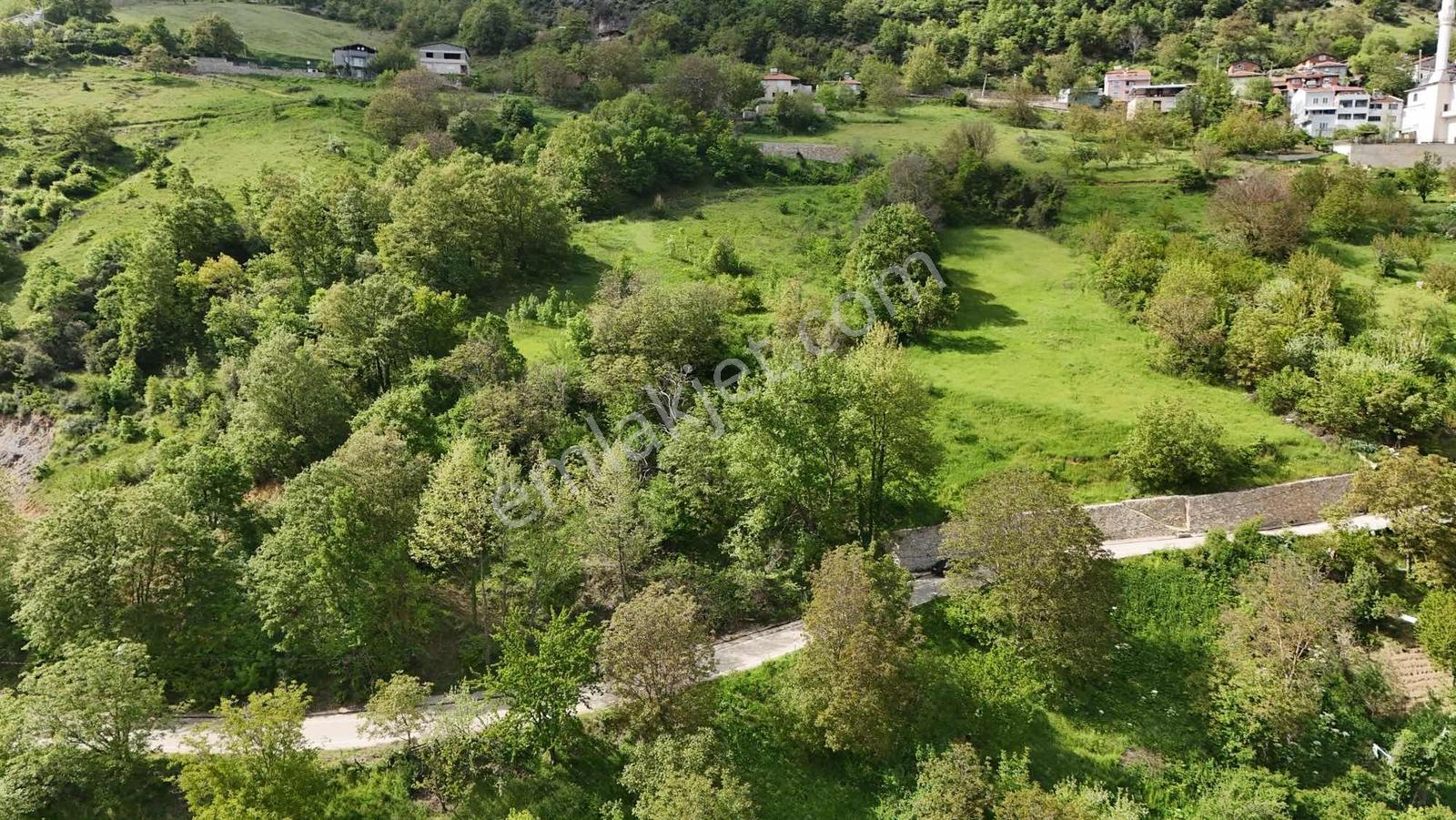 Alven Real Estate Tuzaklı Asfalt Yola Cephe 520m² Tarla - Görsel 2