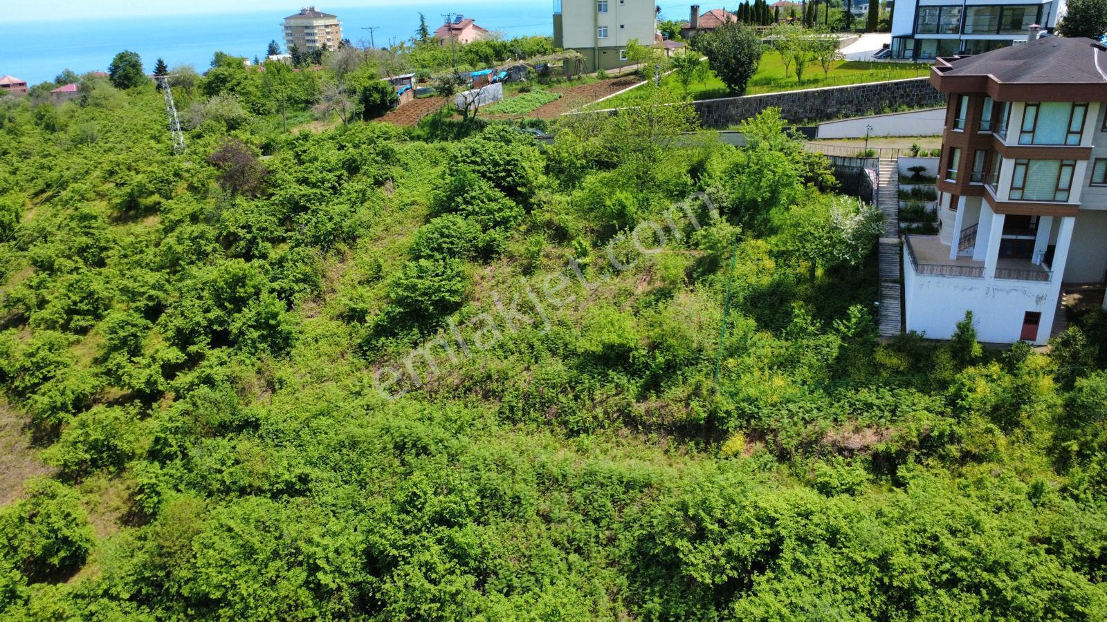 Trabzon'da Satılık Arazi - Görsel 31
