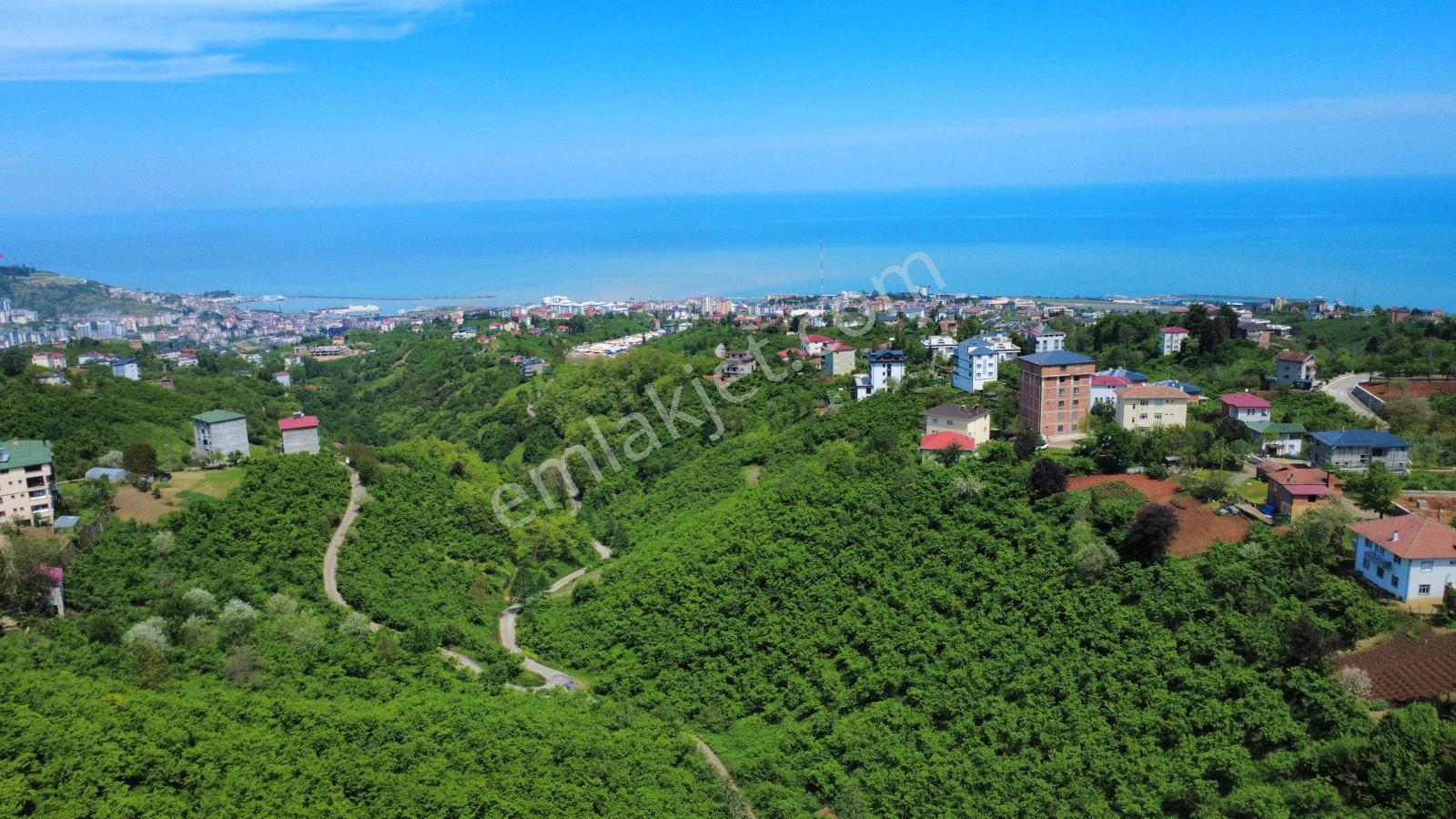 Trabzon'da Satılık Arazi - Görsel 2