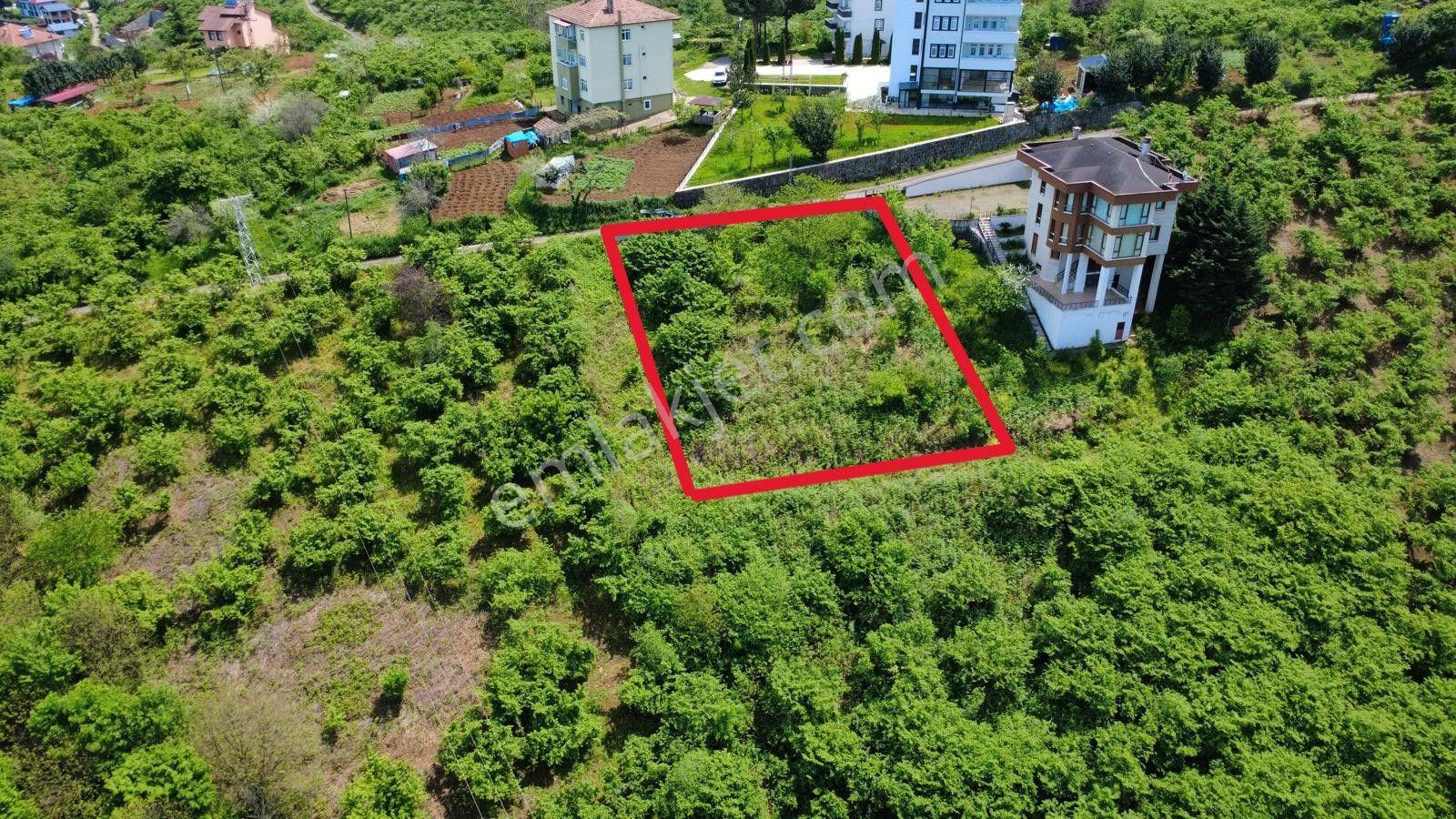Trabzon'da Satılık Arazi - Görsel 12