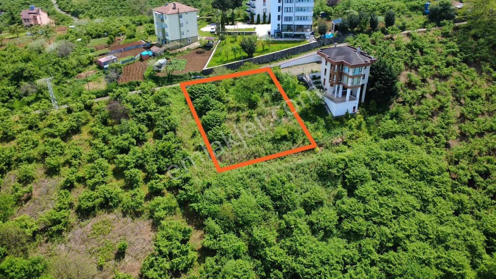 Trabzon'da Satılık Arazi - Görsel 5