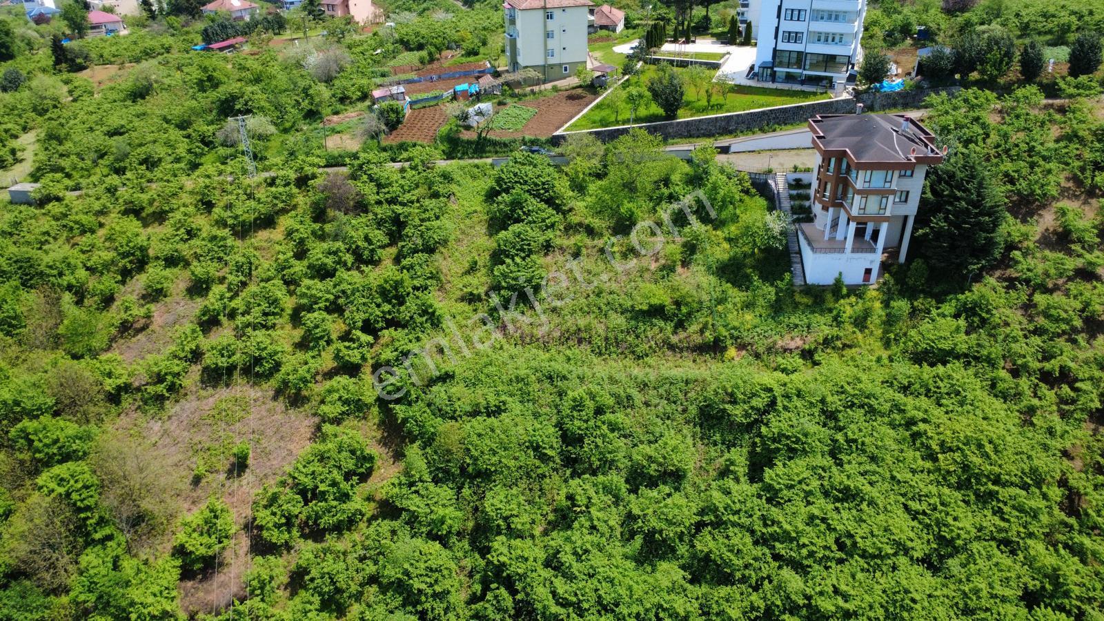 Trabzon'da Satılık Arazi - Görsel 10