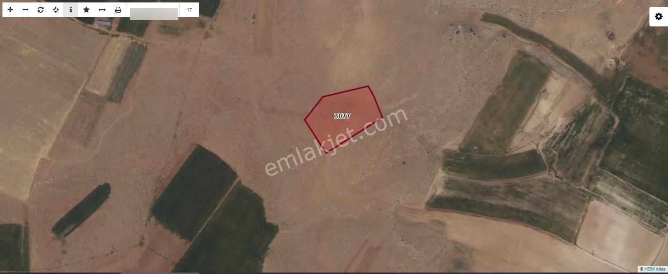 Çumra Dineksarayda 11400 M2 Tek Tapu Müstakil Yatırımlık Tarla - Görsel 3