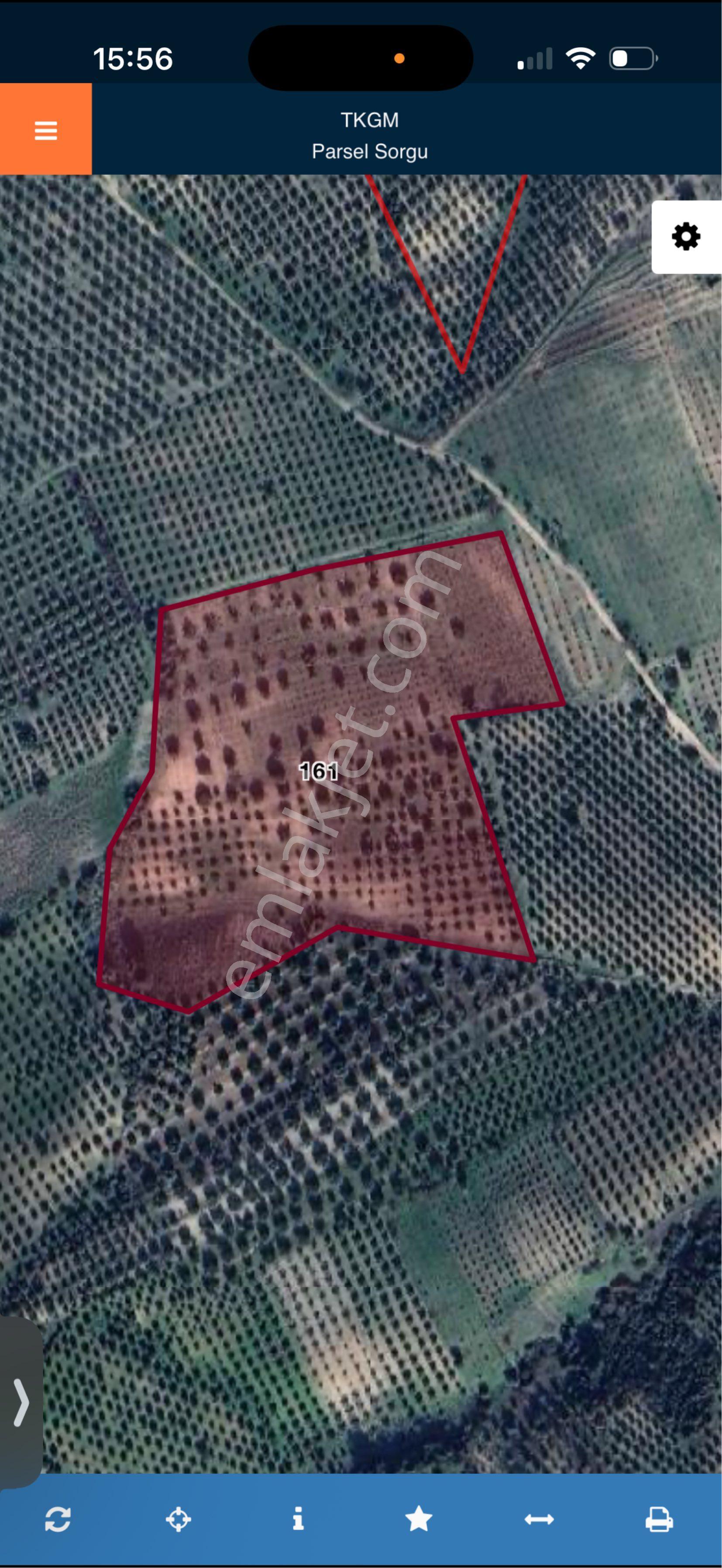 Manisa Ahmetli Mandallı’da 38 Dönüm 1000 Ağaçlı Verimli Zeytinlik 🌿 - Görsel 28