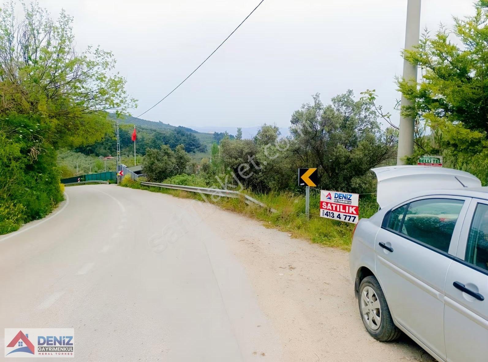 Mudanya Yörükali De Asfalta Cephe 2150 M2 Zeytinlik - Görsel 22