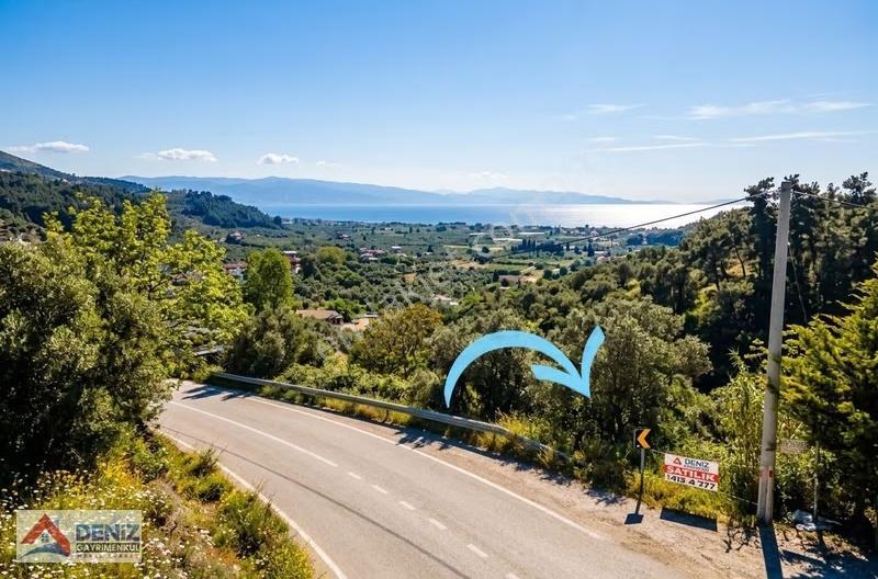 Mudanya Yörükali De Asfalta Cephe 2150 M2 Zeytinlik - Görsel 26