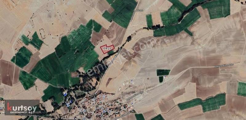 Uygun Fiyata, Başhoroz Köyünde Müstakil Ev, Arsa Ve Tarlalar - Görsel 4