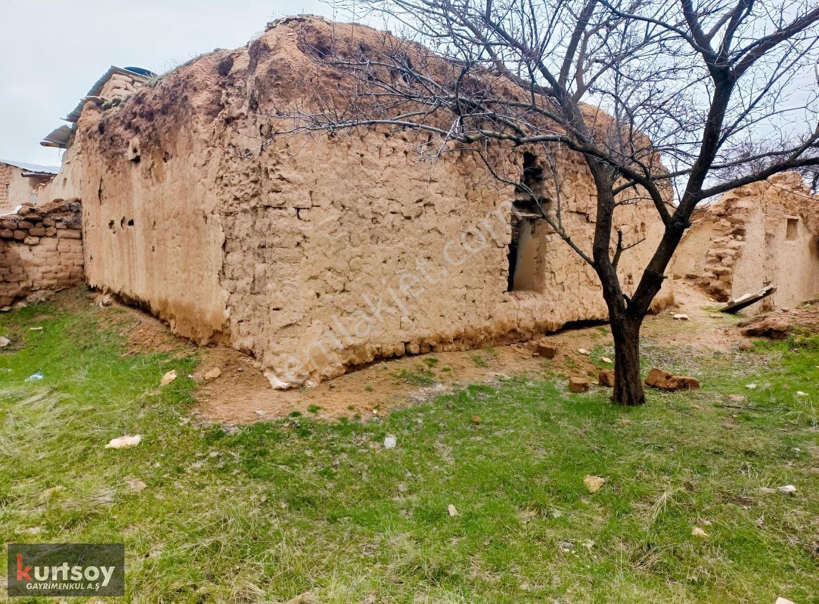 Uygun Fiyata, Başhoroz Köyünde Müstakil Ev, Arsa Ve Tarlalar - Görsel 34