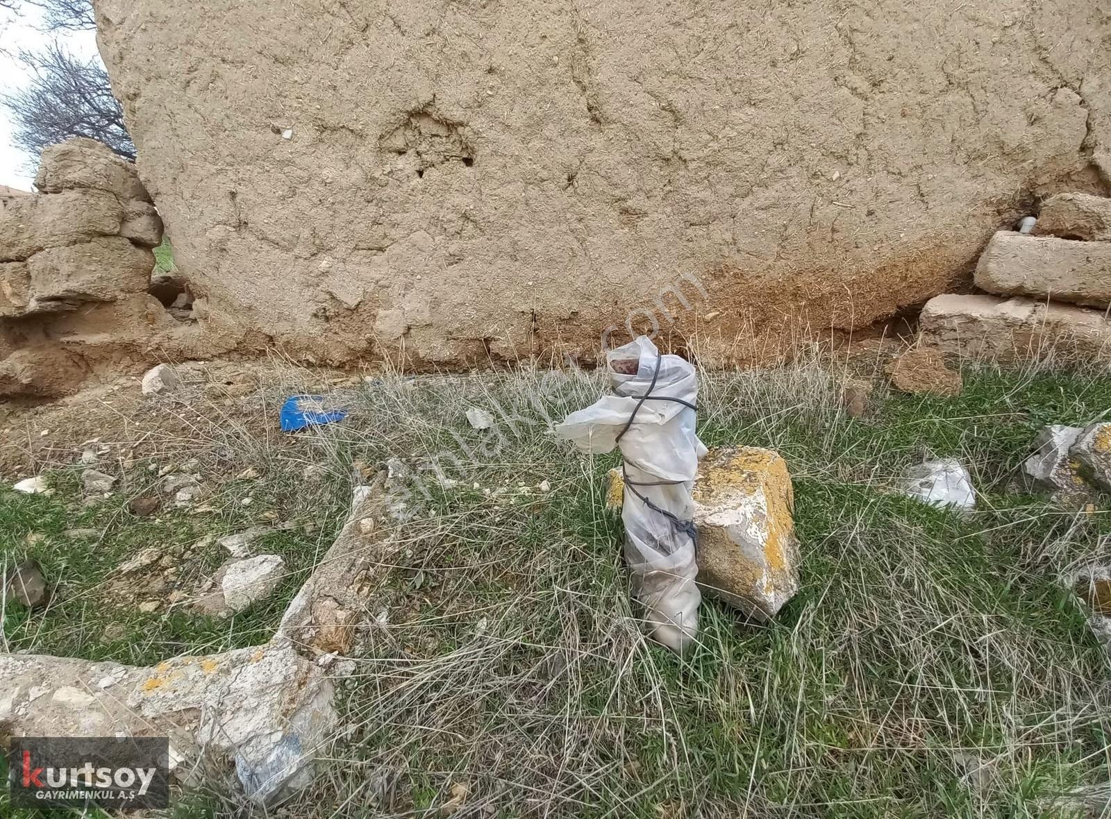 Uygun Fiyata, Başhoroz Köyünde Müstakil Ev, Arsa Ve Tarlalar - Görsel 9