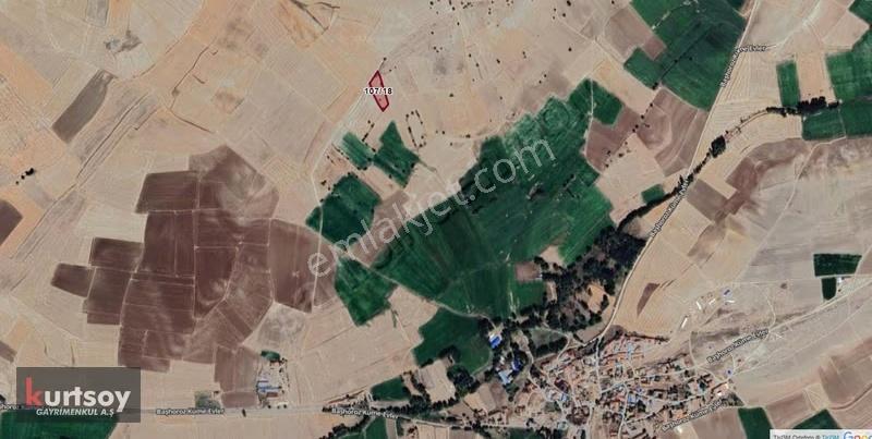 Uygun Fiyata, Başhoroz Köyünde Müstakil Ev, Arsa Ve Tarlalar - Görsel 2