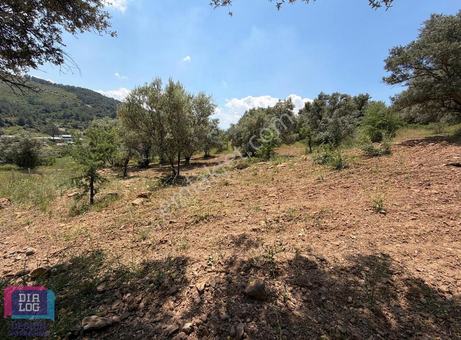 İzmir Buca Kaynaklar'da Doğa İle İç İçe, Kullanıma Hazır Satılık - Görsel 3