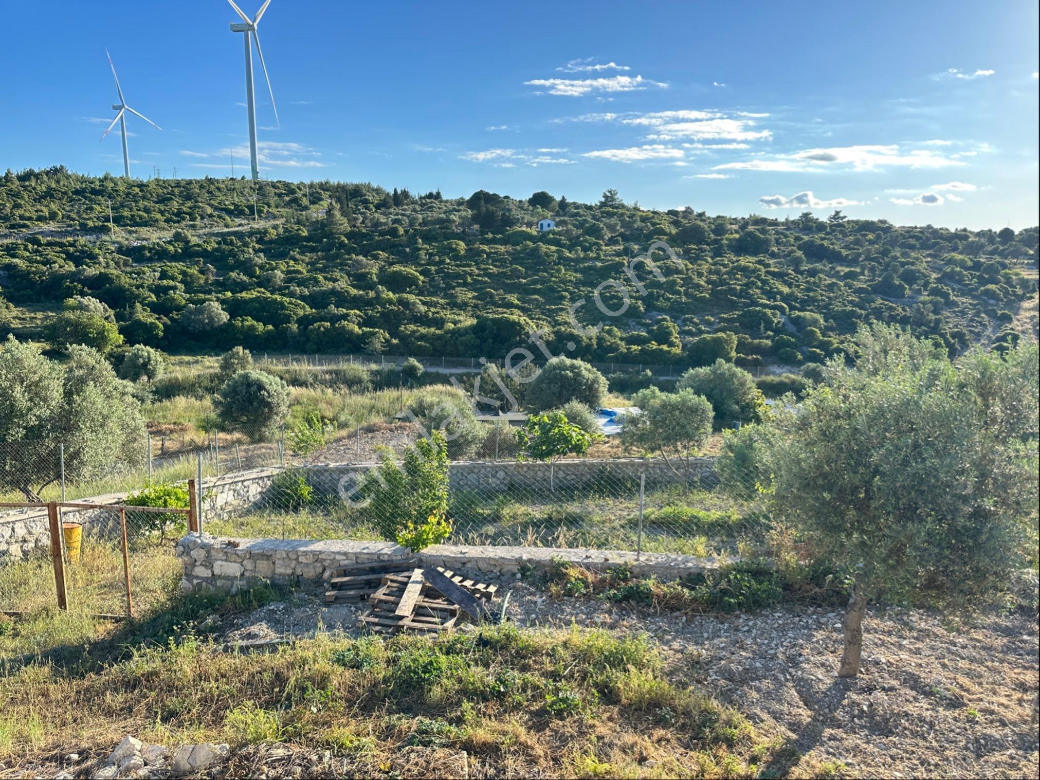 Çeşmede Havuzlu Kiralık Villa(sezonluk) - Görsel 3