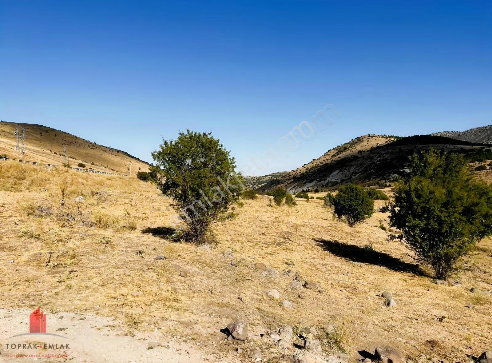 Seydişehir Yolu Erenkaya'da 2622m2 Etraf Telli İçi Sulu Bahçe - Görsel 3