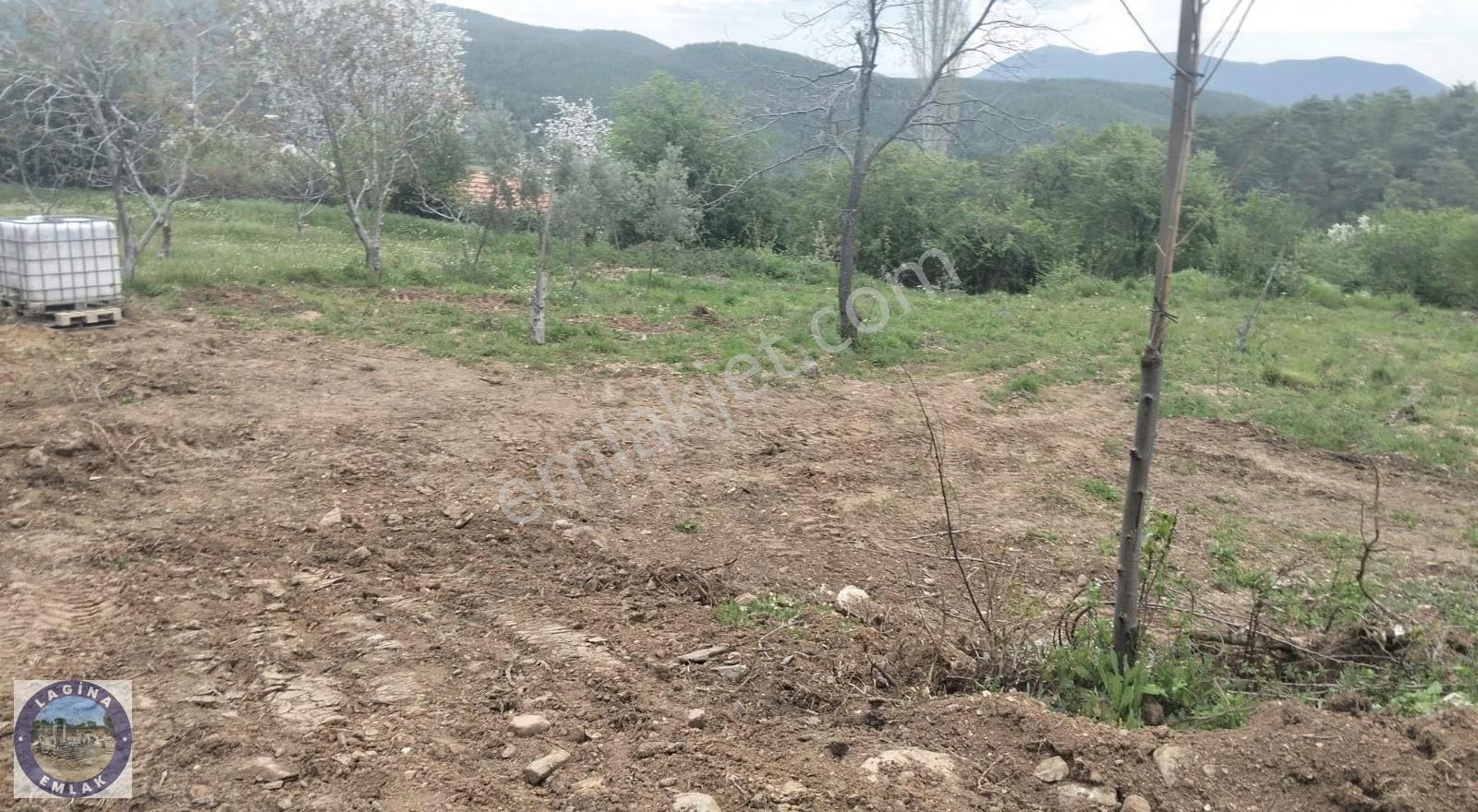 Muğla Kavaklıdere'de Satılık Hobi Bahçesi - Görsel 8