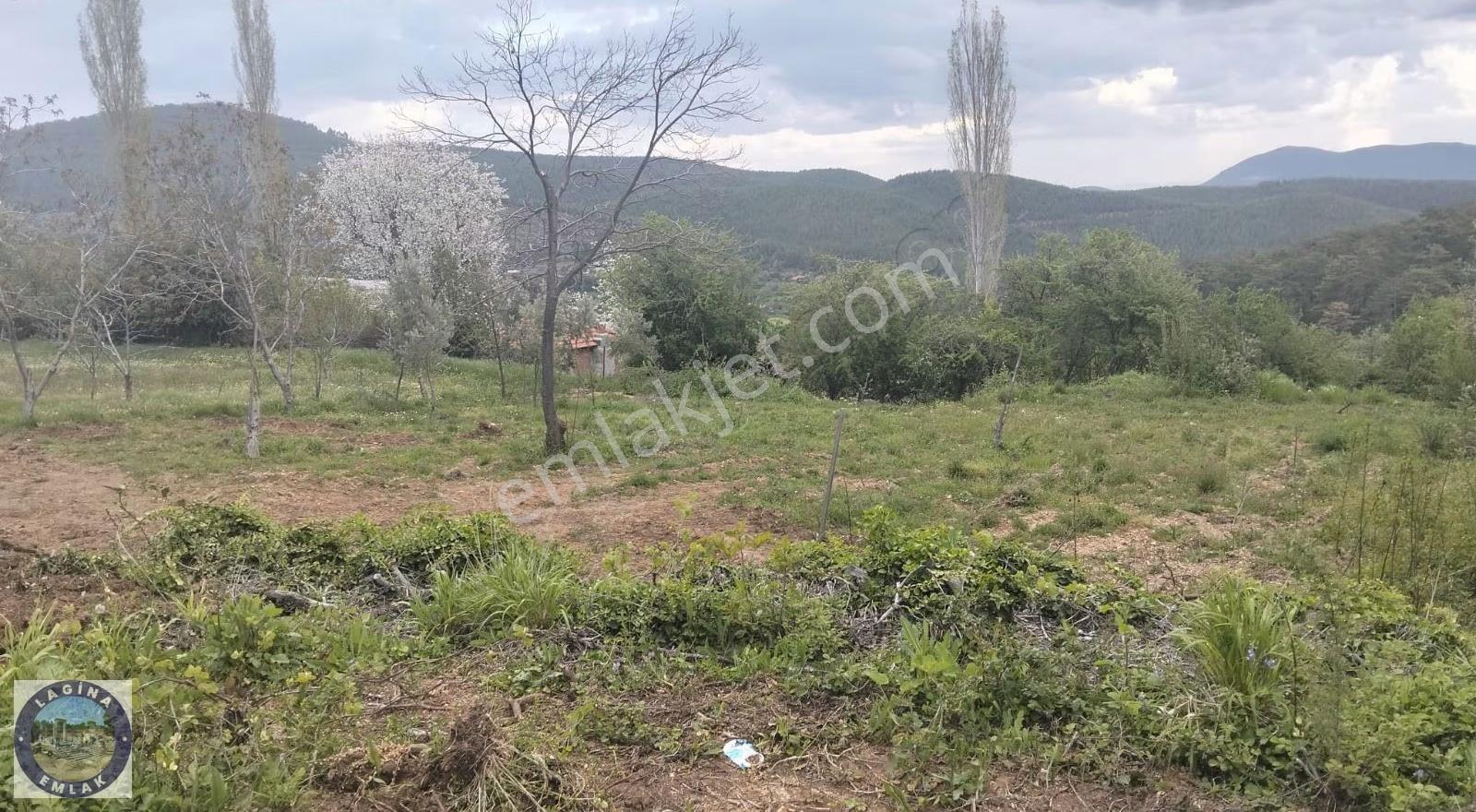 Muğla Kavaklıdere'de Satılık Hobi Bahçesi