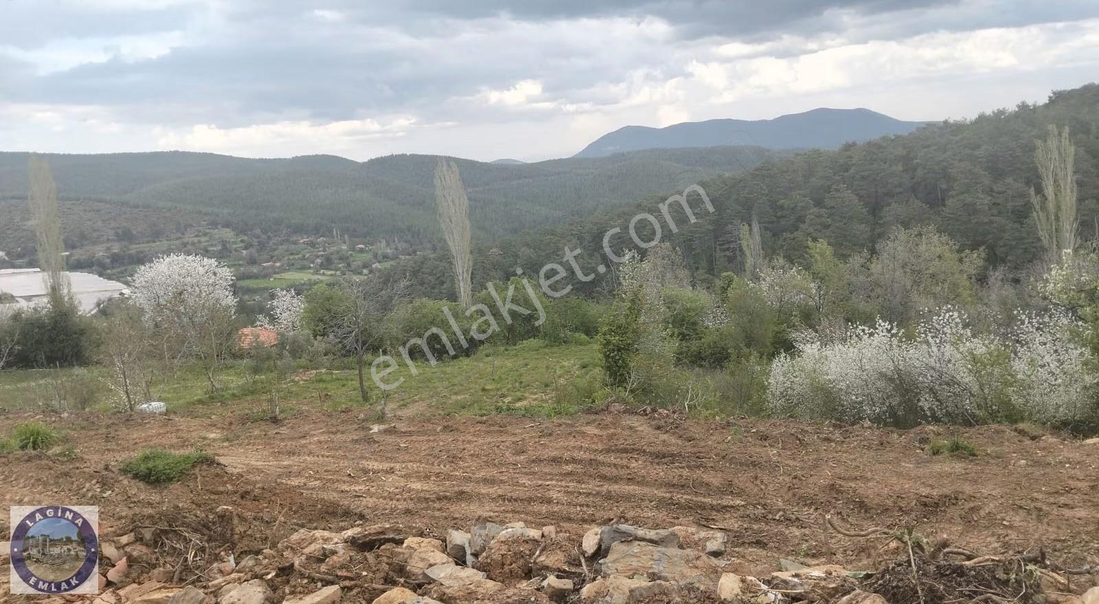 Muğla Kavaklıdere'de Satılık Hobi Bahçesi - Görsel 6
