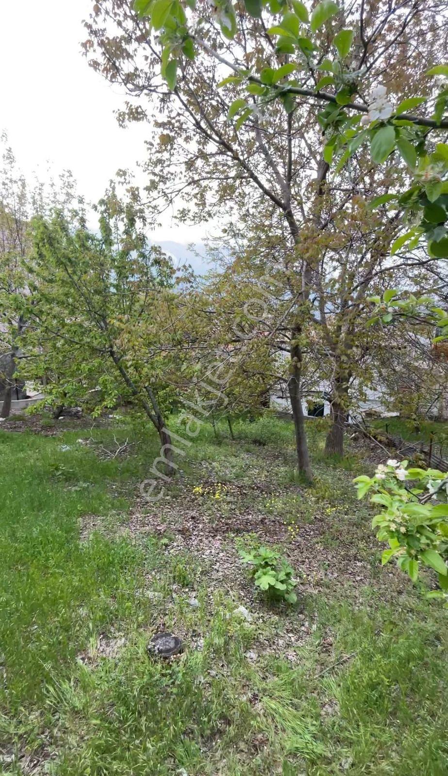 Pozantı Akçatekir De Satılık Ev Ve Arsası - Görsel 6