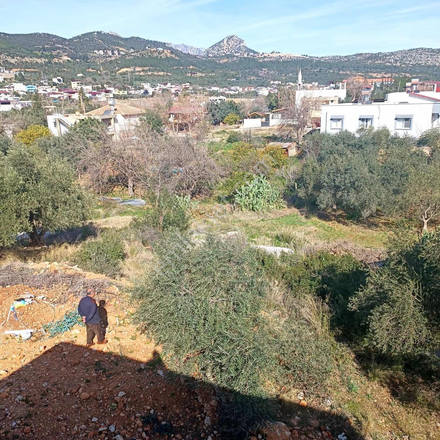 Anadolu Gayrimenkulden Ağlıboğaz Şamlıoğlu Camii Civarında - Görsel 13