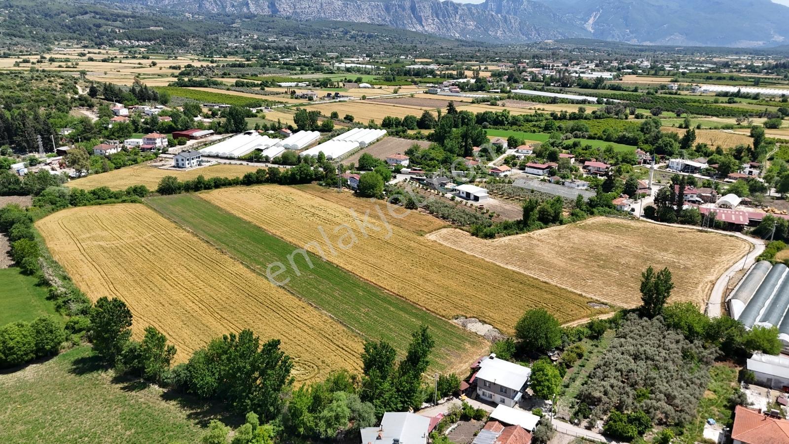 Seydikemer Çamurköyde Satılık 6.000 M² Tarla - Görsel 7