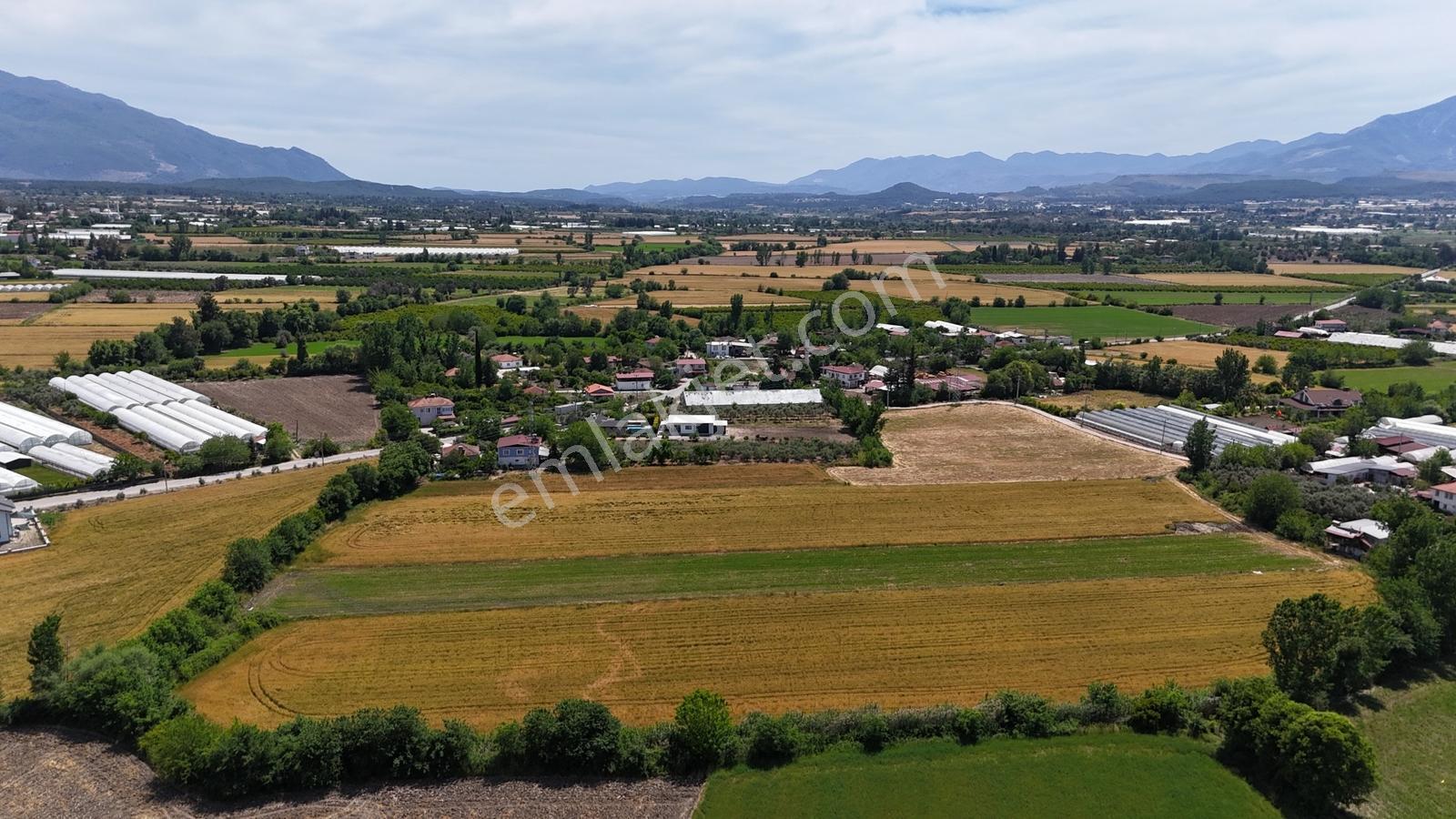 Seydikemer Çamurköyde Satılık 6.000 M² Tarla - Görsel 11