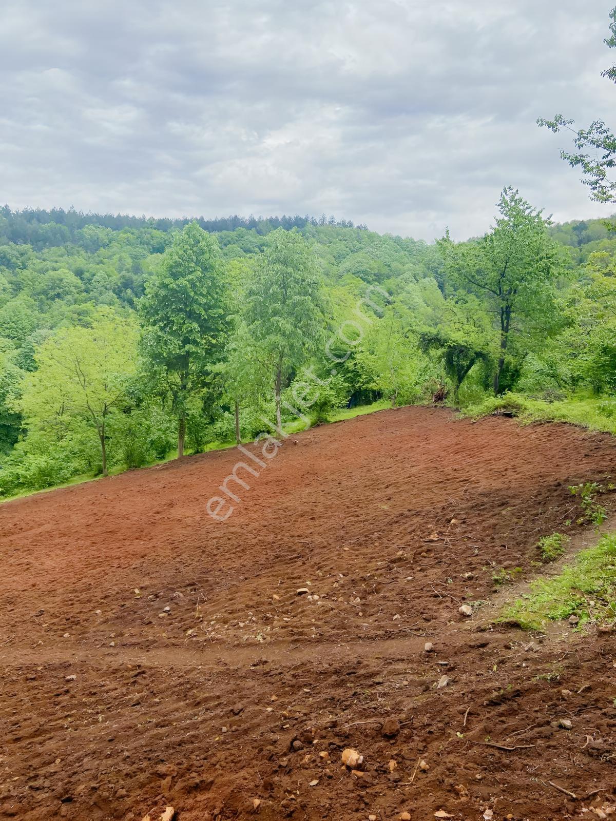 Kartepe Maşukiye Göl Manzaralı Yatırım Fırsatı Arsa - Görsel 6