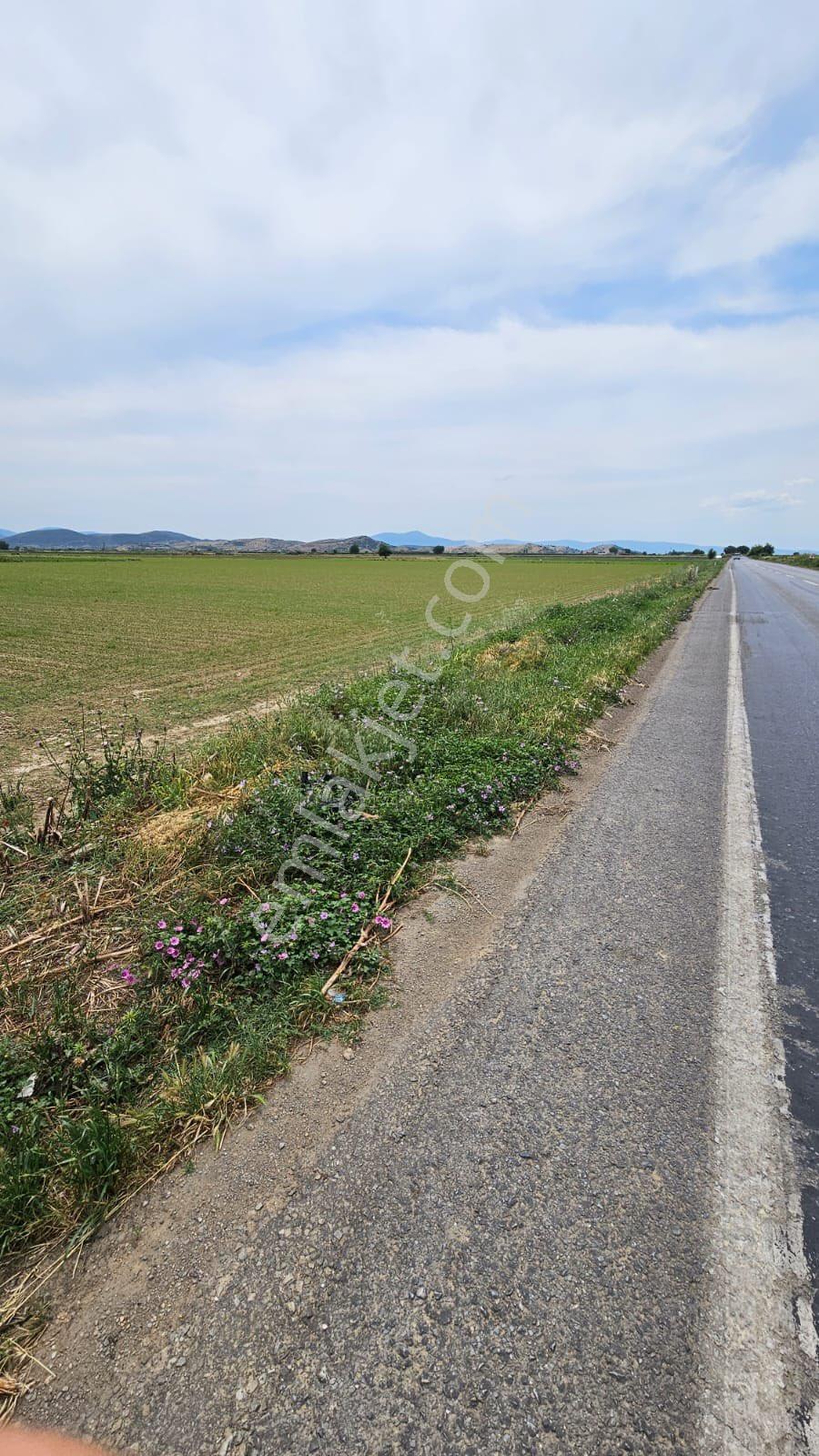 Tire İzmir Yolu'na Sıfır Satılık Tarla 5873 M2 Fırsatı - Görsel 23