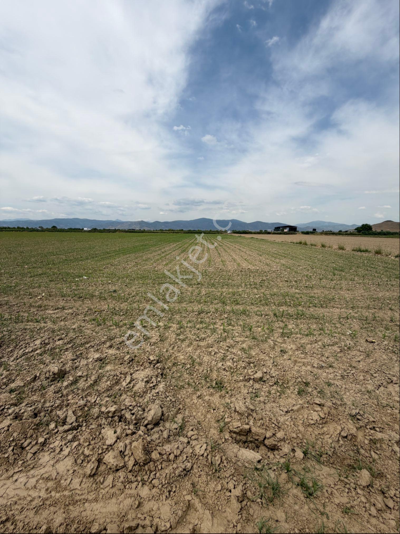 Tire İzmir Yolu'na Sıfır Satılık Tarla 5873 M2 Fırsatı - Görsel 20