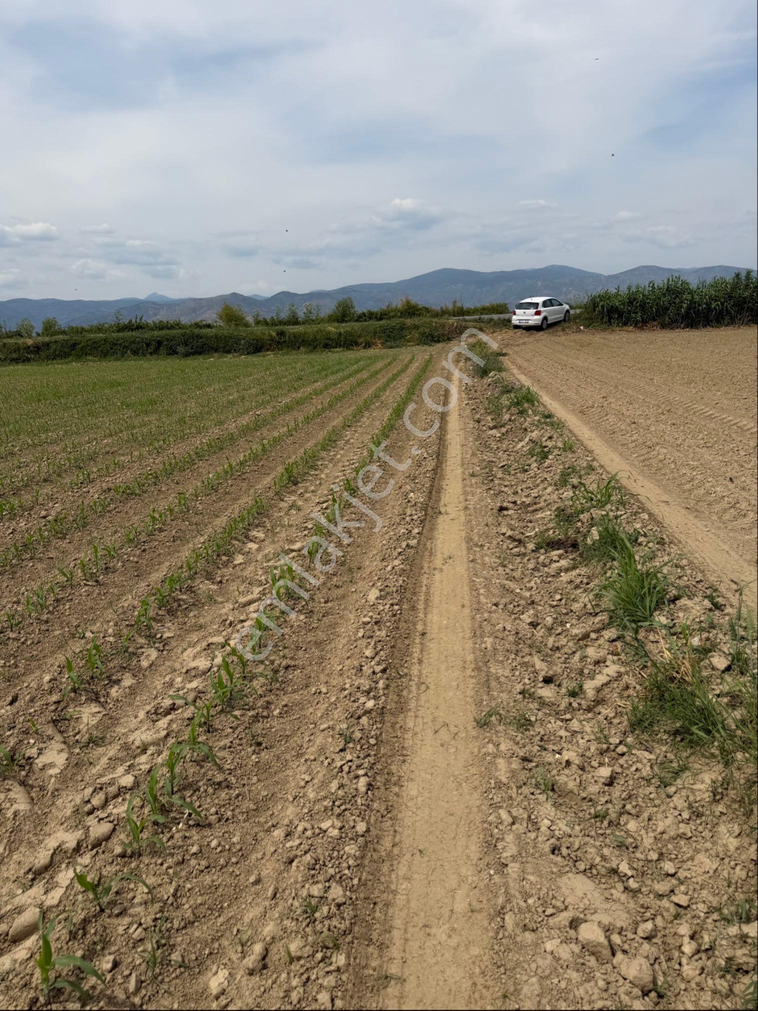 Tire İzmir Yolu'na Sıfır Satılık Tarla 5873 M2 Fırsatı - Görsel 7