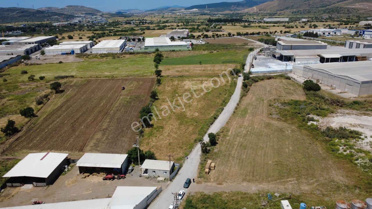 Helvacıda 8243m2 Yola Cephe Depoların Olduğu Yerde Tarla - Görsel 15