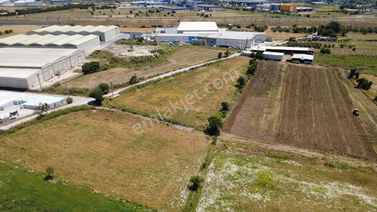 Helvacıda 8243m2 Yola Cephe Depoların Olduğu Yerde Tarla - Görsel 8