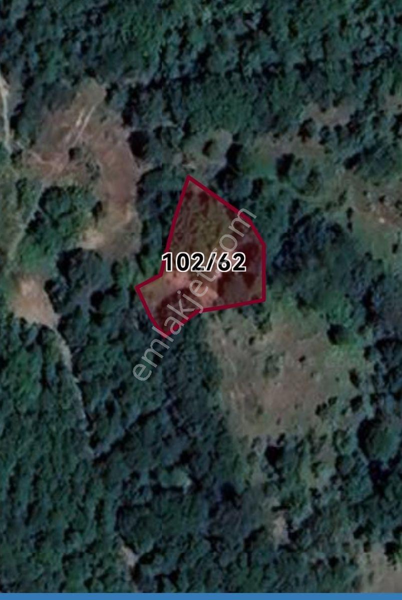 Yatırımlık 367.20 M2 Resmi Yolu Olan Kazdaglarının Zirvesinde - Görsel 5