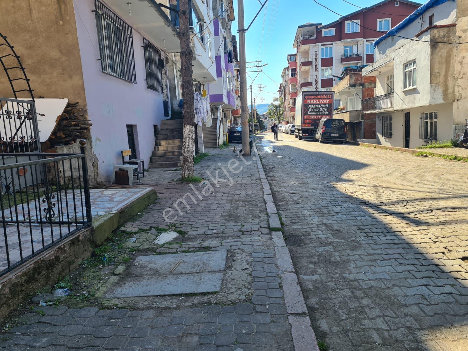Fatsa Kurtuluş'ta Kiralık 50m² Pastane & İmalathane - Görsel 3