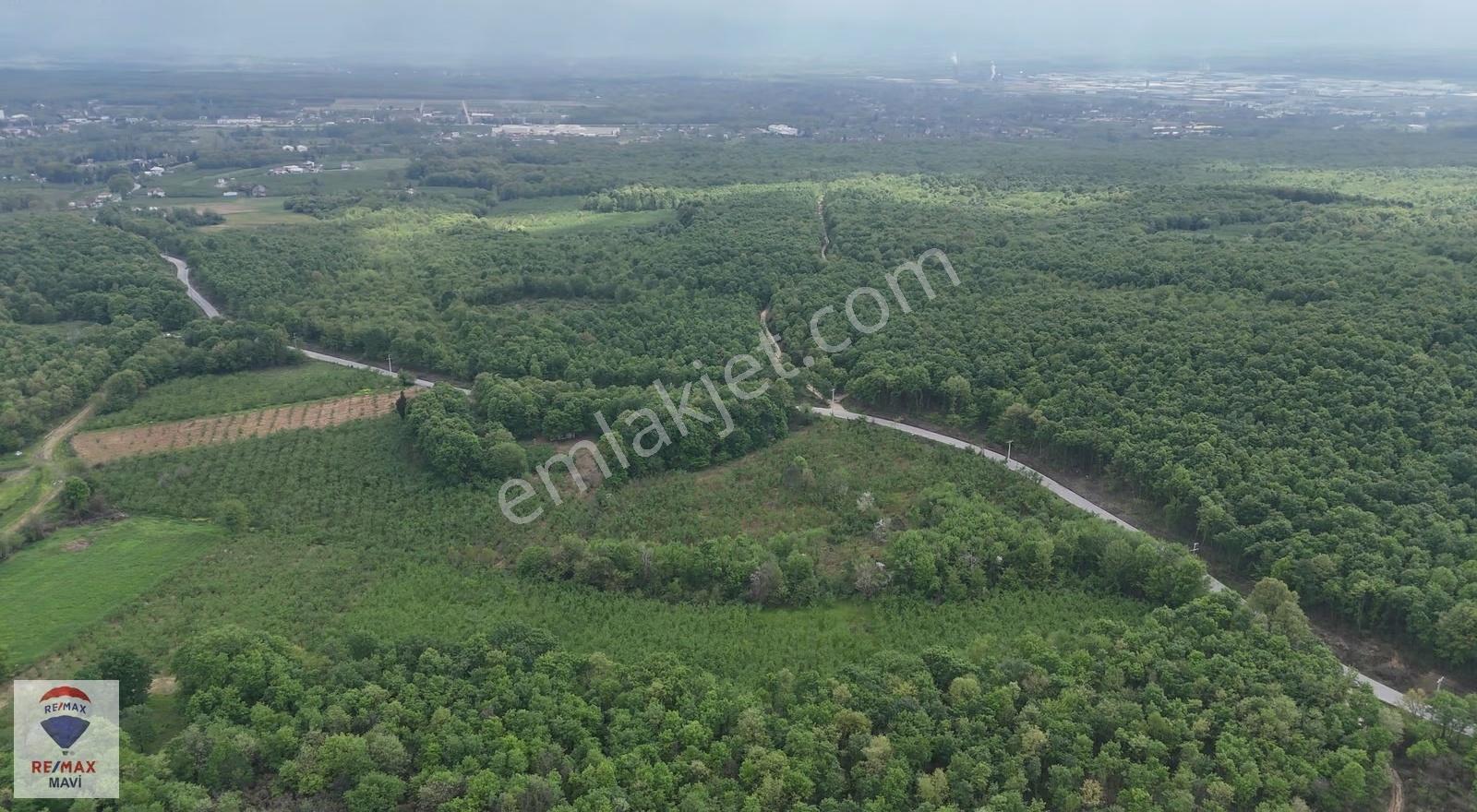 Sakarya Hendek Şeyhler 8.330 M² Tarla 118 Ada 2parsel Yatırımlık - Görsel 11
