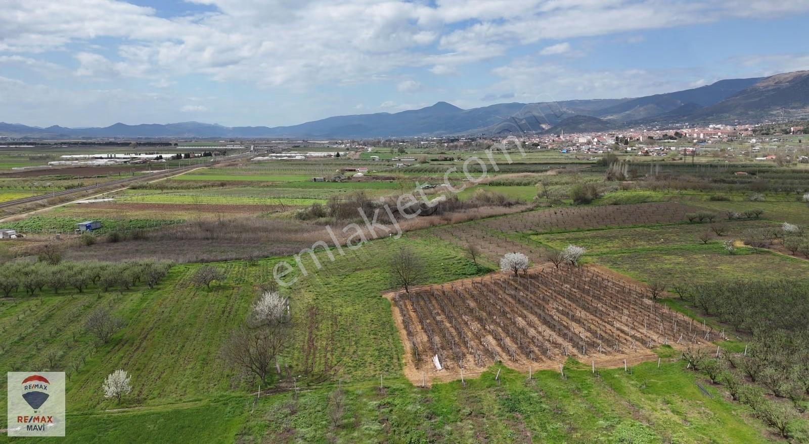 Turgutluda Resmi Yola Cepheli Satılık 4.097 M² Tarla - Görsel 3