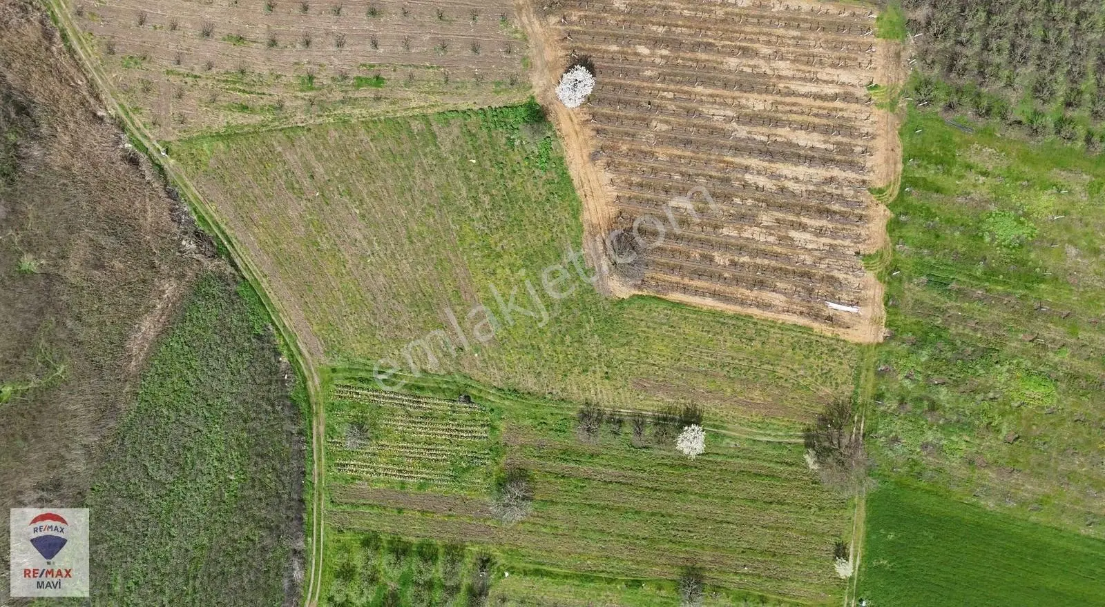 Turgutluda Resmi Yola Cepheli Satılık 4.097 M² Tarla