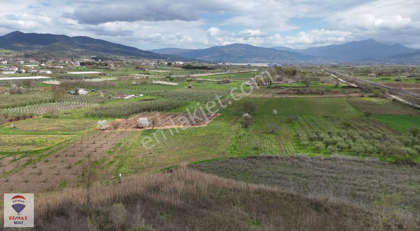Turgutluda Resmi Yola Cepheli Satılık 4.097 M² Tarla - Görsel 4