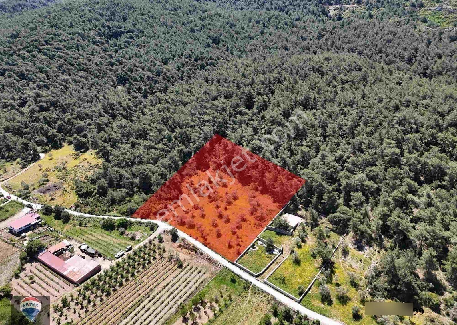 Kuşadası Kirazlı Köyü’nde Satılık 5740 M2 Tarla - Görsel 4